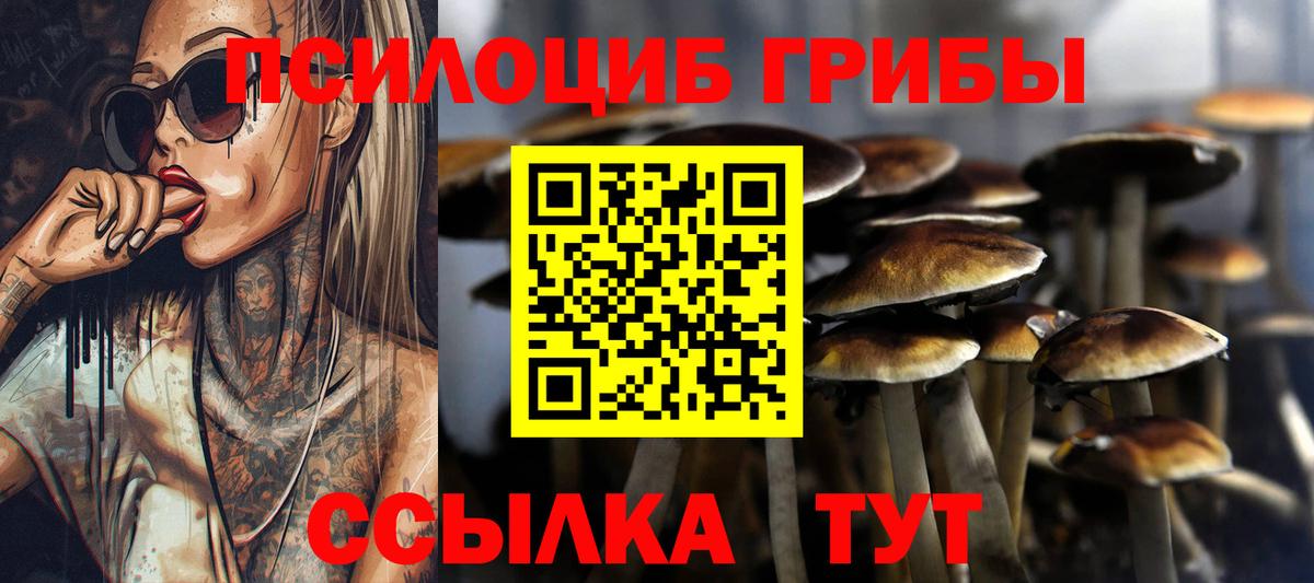 Галлюциногенные грибы Psilocybe Белая Калитва