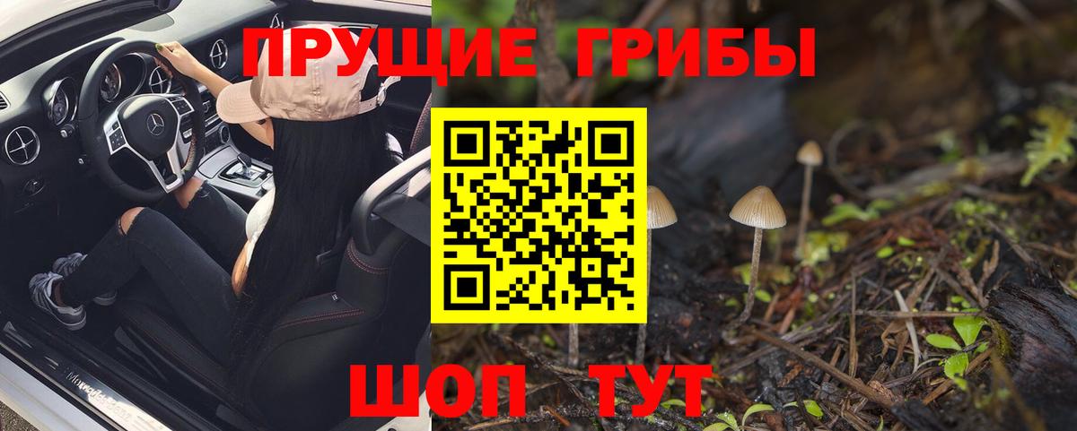 Псилоцибиновые грибы Magic Shrooms  Вход с VPN  Галлюциногенные грибы Magic Shrooms  Белая Калитва 